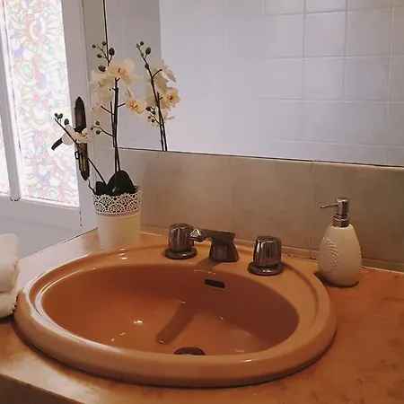 Pisa Lodge B&B Hostel * Pise